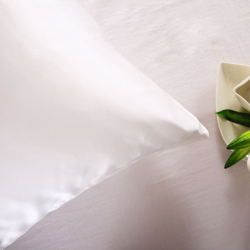 Taie d'oreiller 100% Soie de M - Silk Pillowcase avis et prix